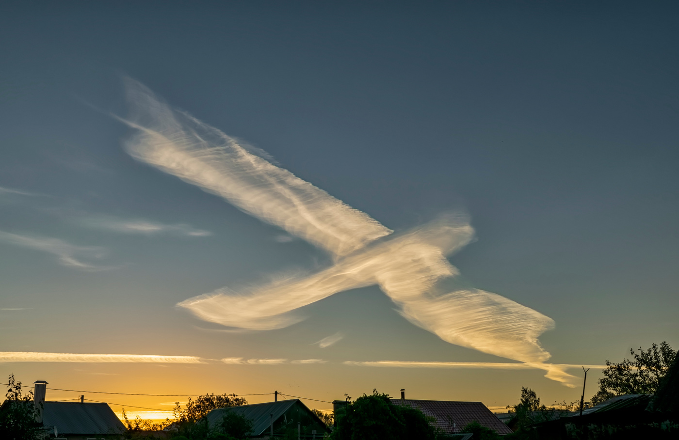 небесная птица рассвета