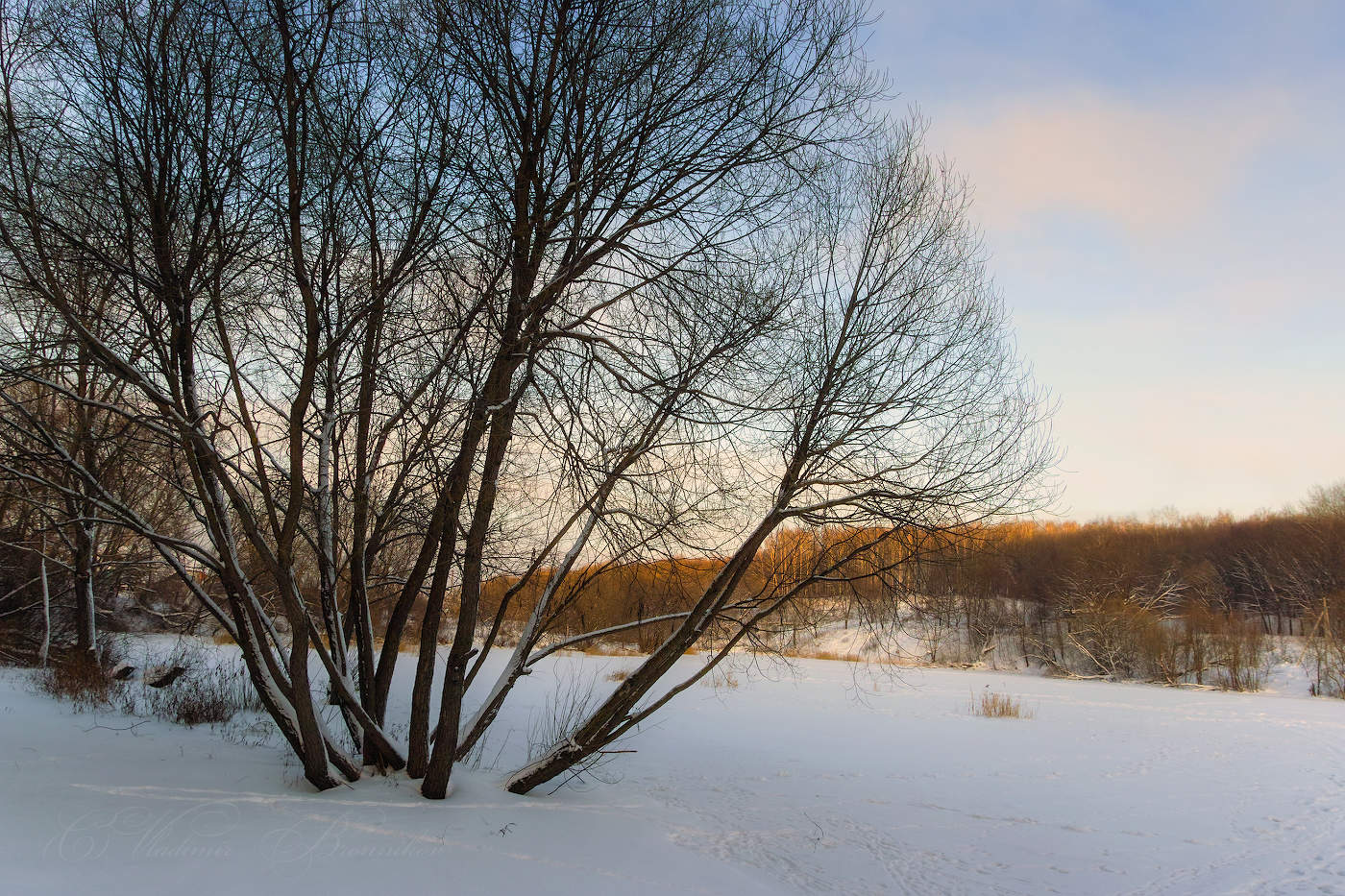Морозным вечером в декабре
