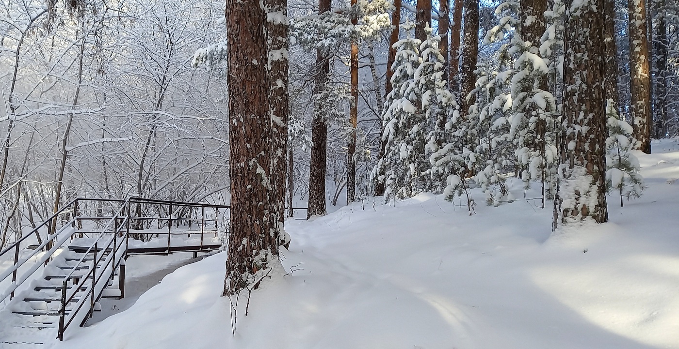 морозный декабрь