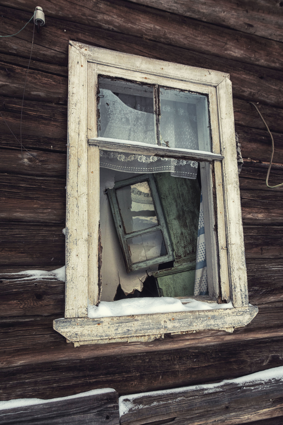 Жизнь вокруг