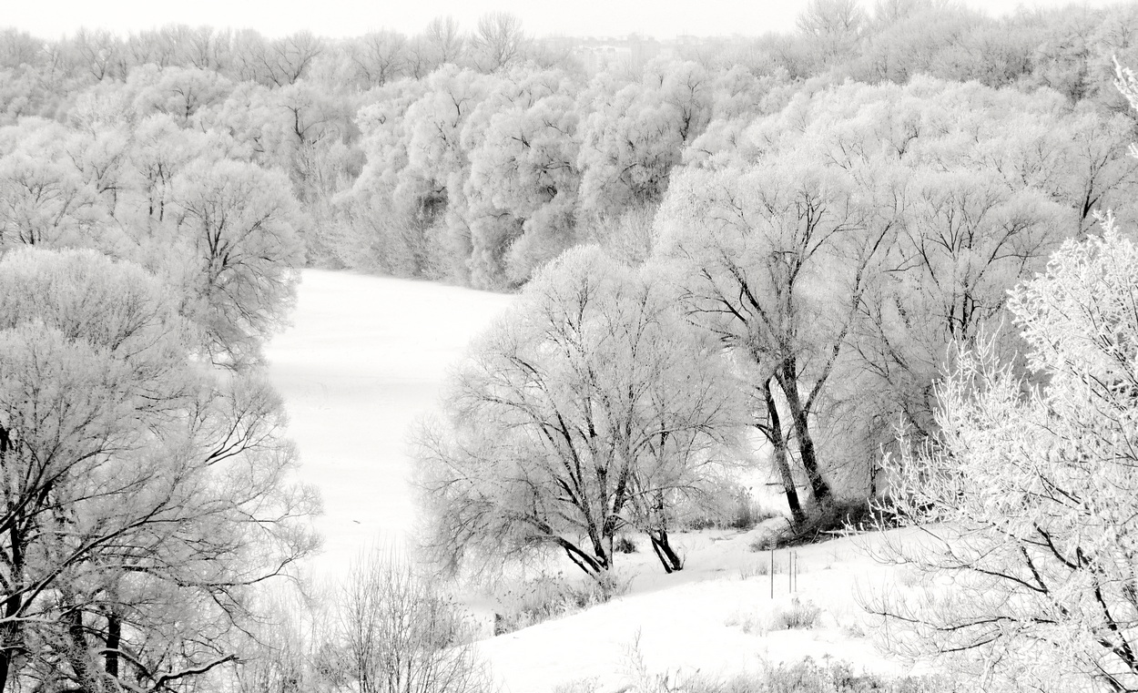 В снежном плену