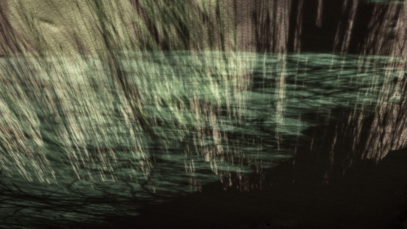 Жизнь вокруг