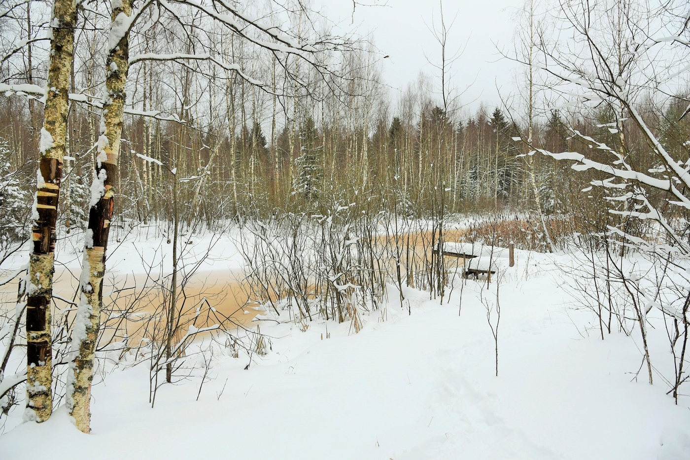 "Да, что-то есть в зиме от медицины нежной ..."
