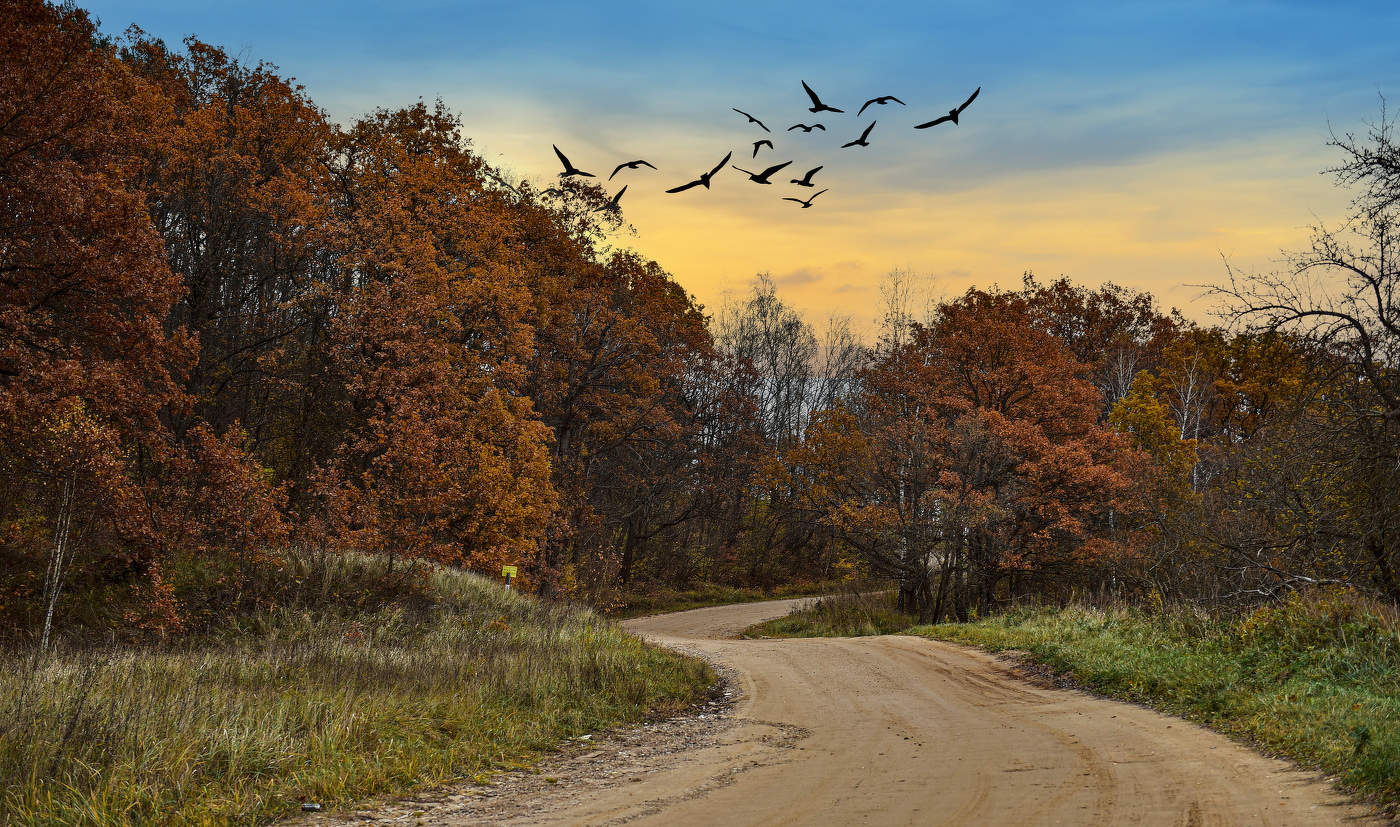 Осенний сон среди зимы.