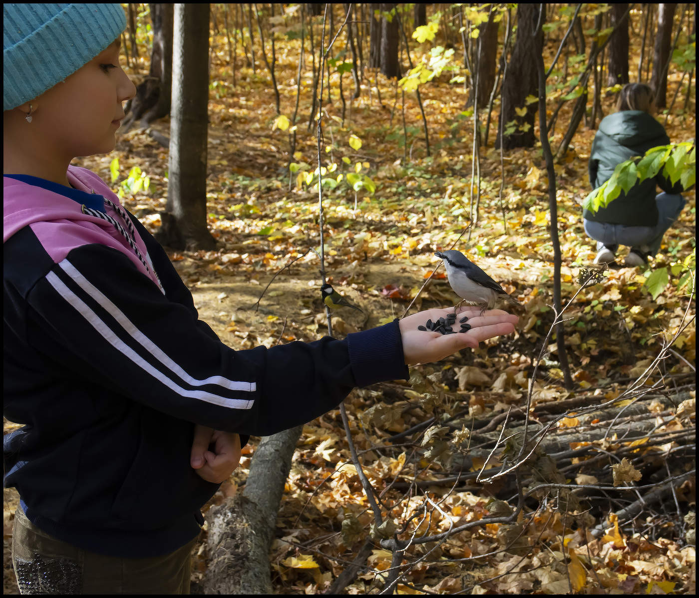В осеннем лесу