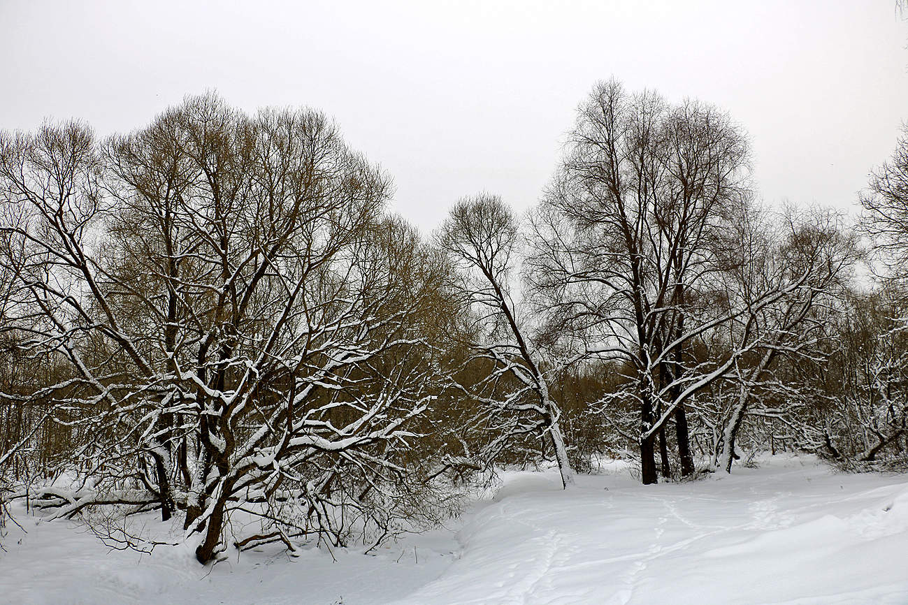 Декабрь... речка Песочная замёрзла...