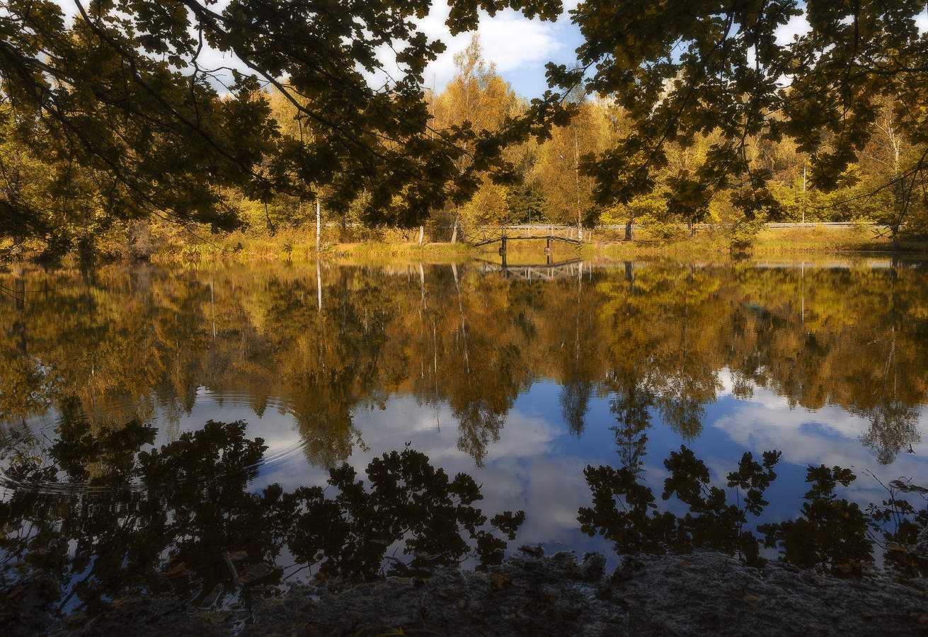 "Есть в графском парке ..." - 3