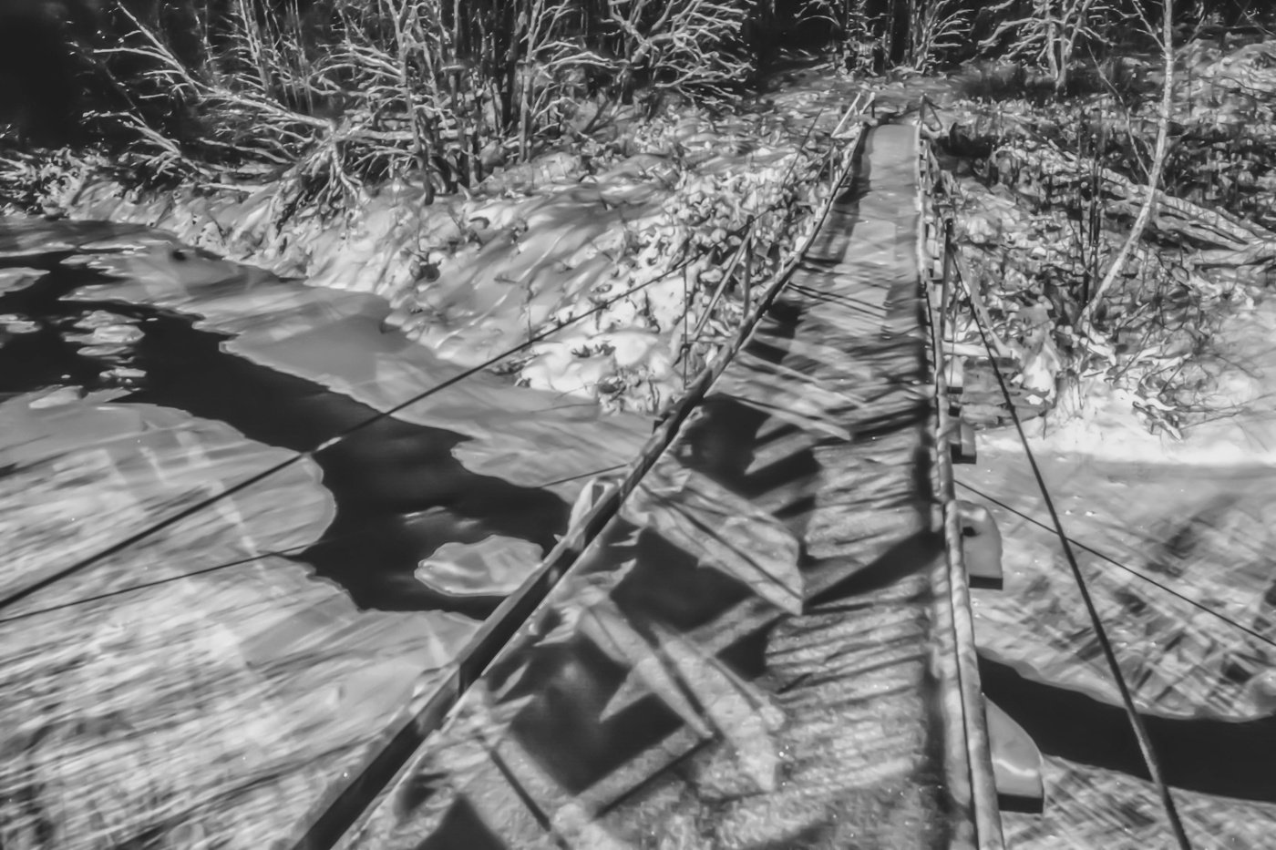 Жизнь вокруг