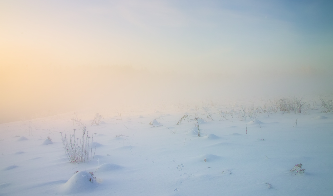 Мороз,солнце и туман