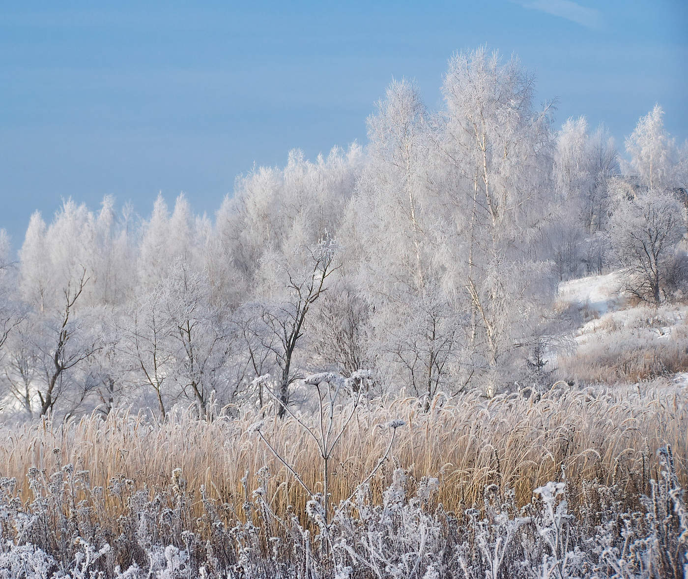 Зимнее настроение
