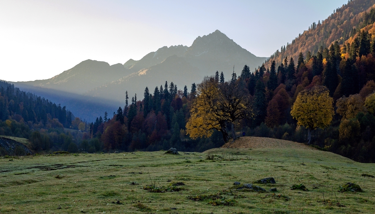 Осеннее утро.