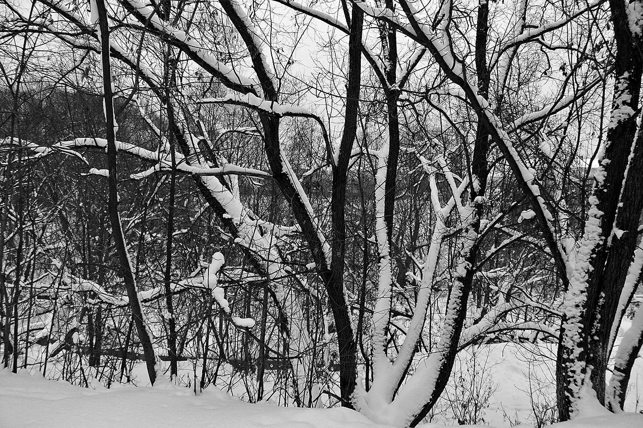 Зимняя графика