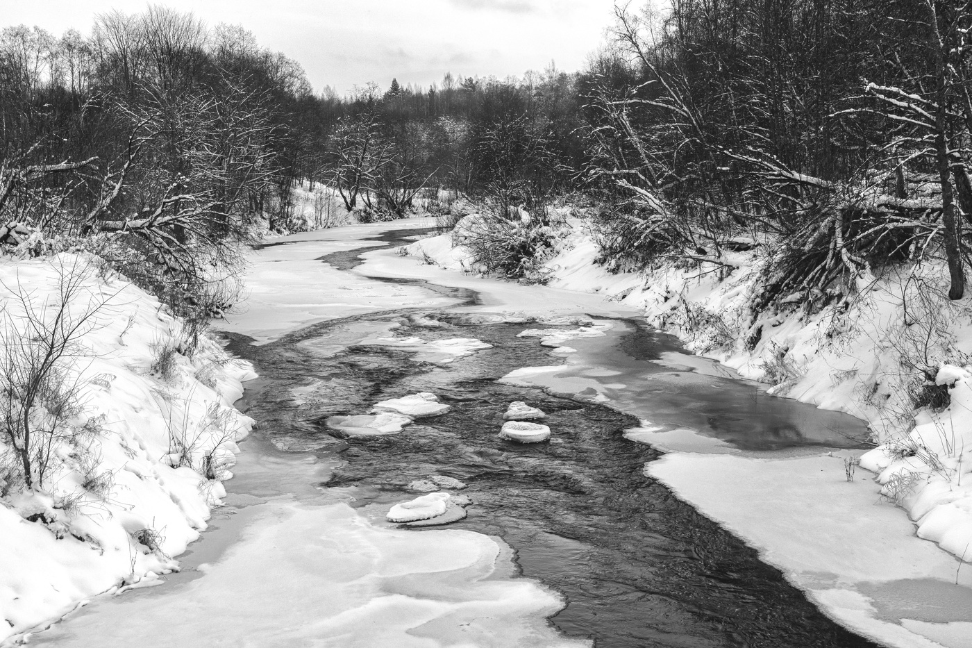 Жизнь вокруг