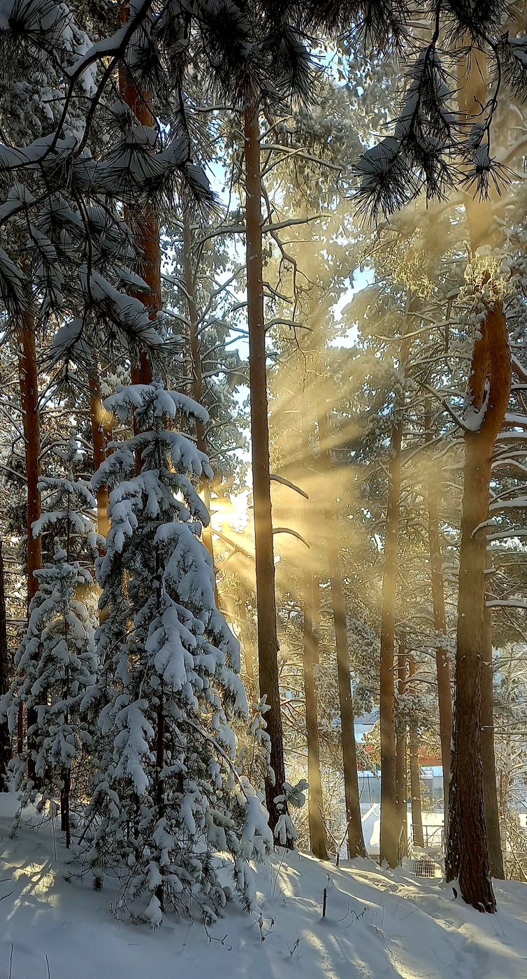 доброе утро