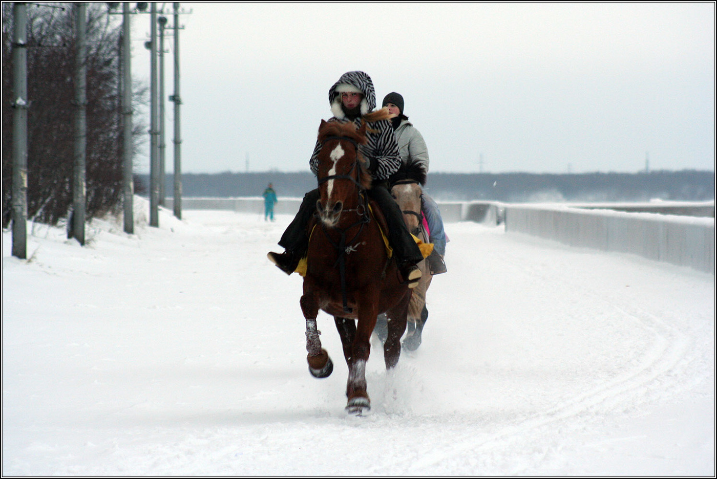 Декабрьская погода прогулкам не помеха.