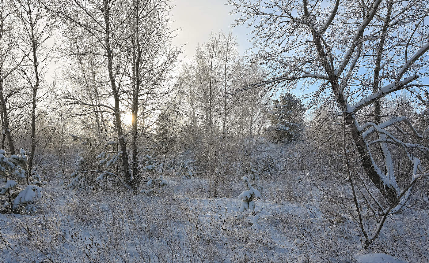 Зимняя зарисовка.