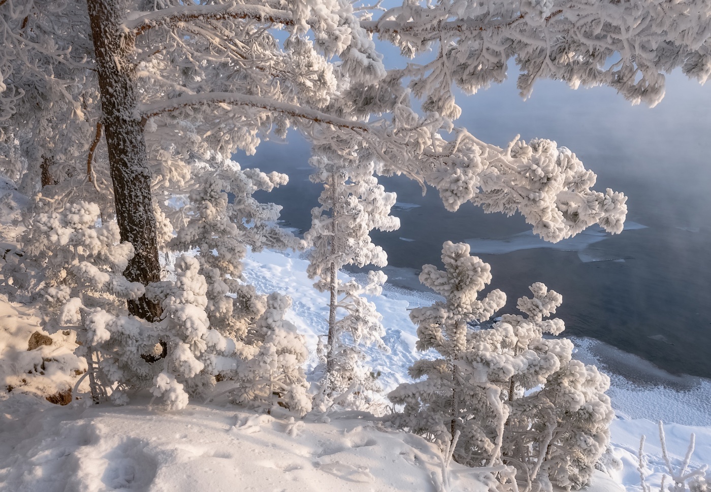 Зимняя сказка