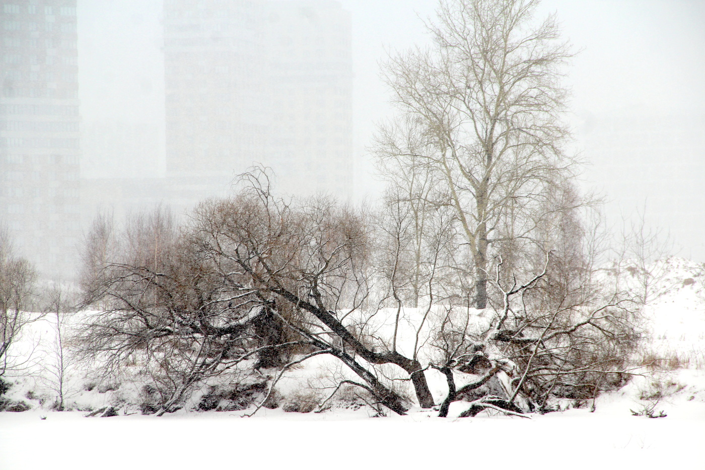 Зимний пейзаж.
