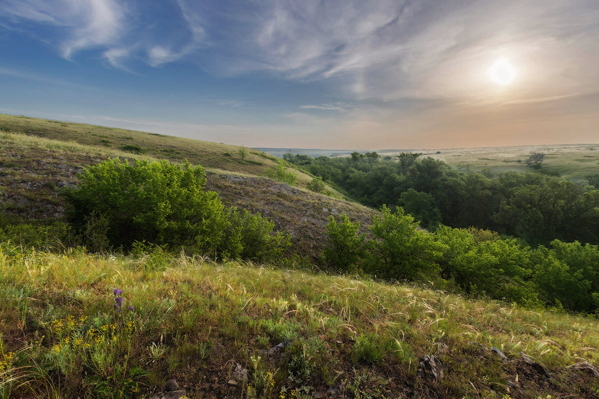 На каменных гребнях
