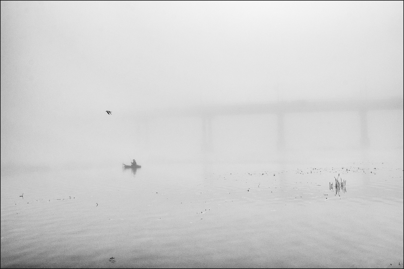 пейзаж с небольшой птицей и неизвестным рыболовом