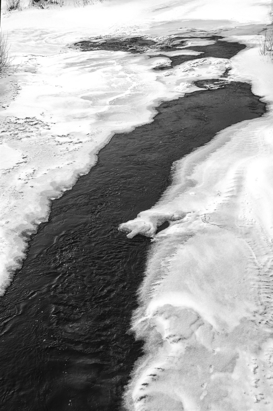 Жизнь вокруг