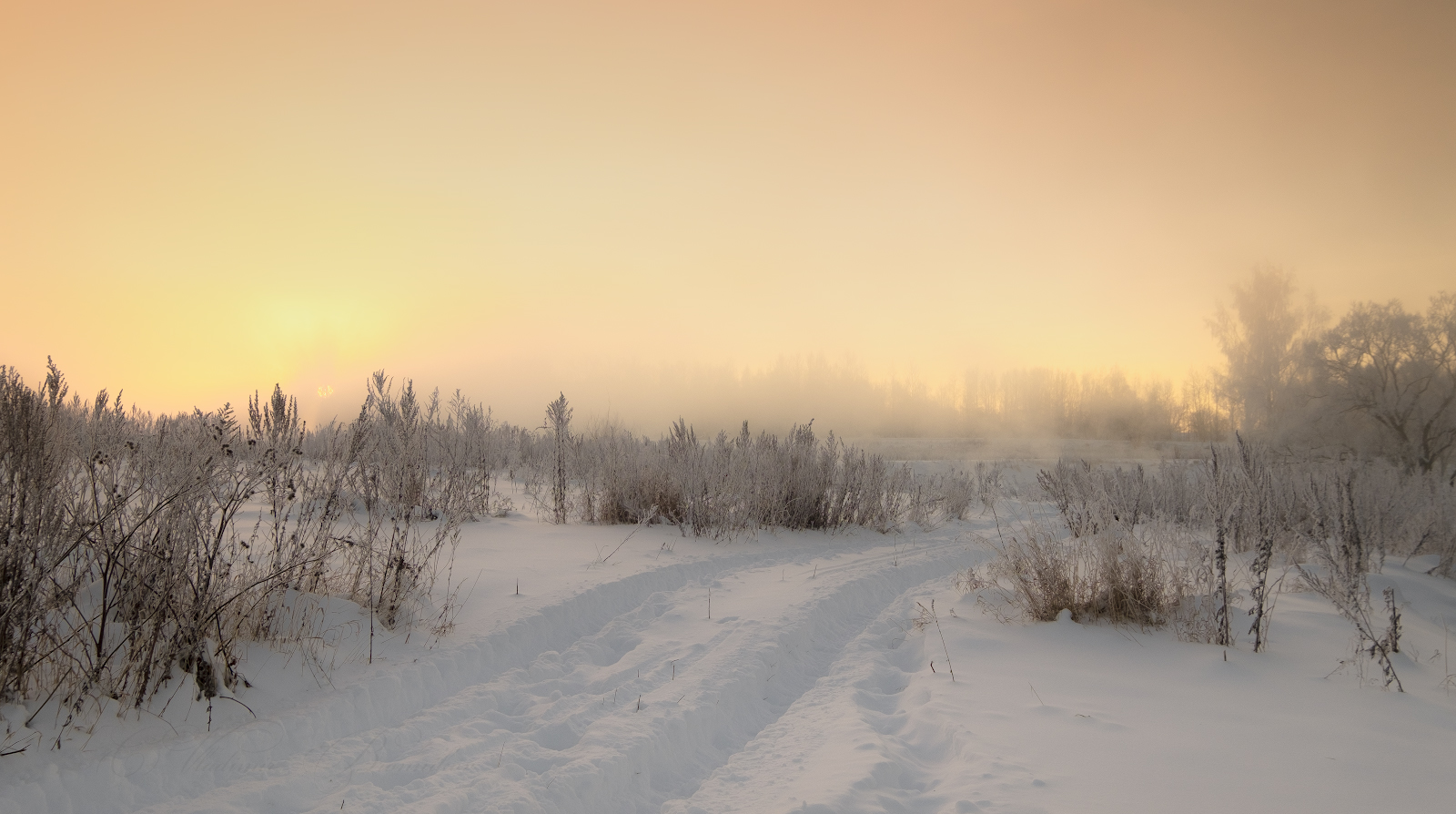 Дорога к деду Морозу