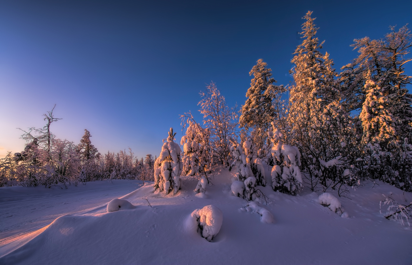 Чудесно розовое утро
