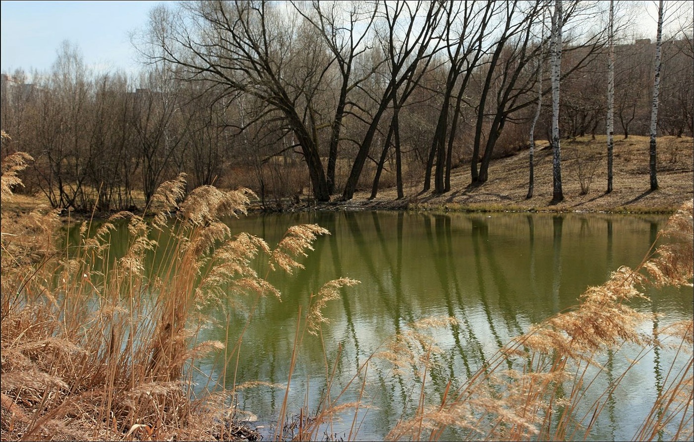 В Ботаническом саду