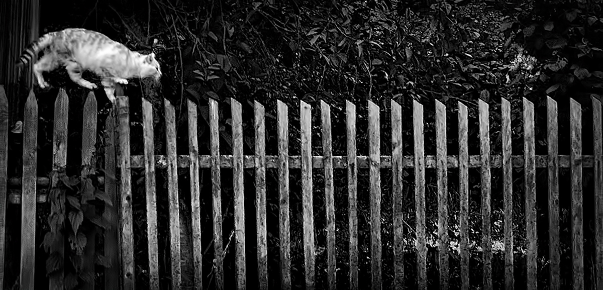 На старт-внимание-марш.