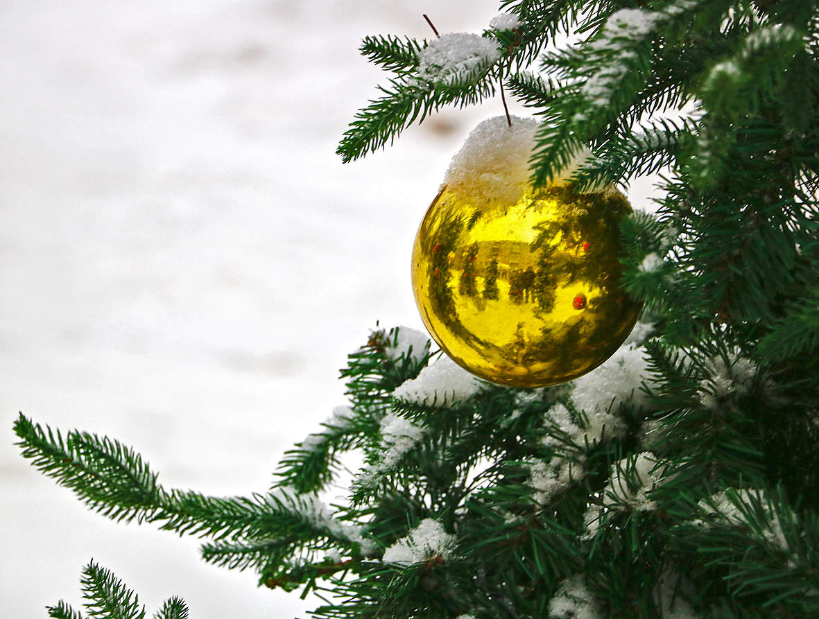 Город готовится к Новому Году...