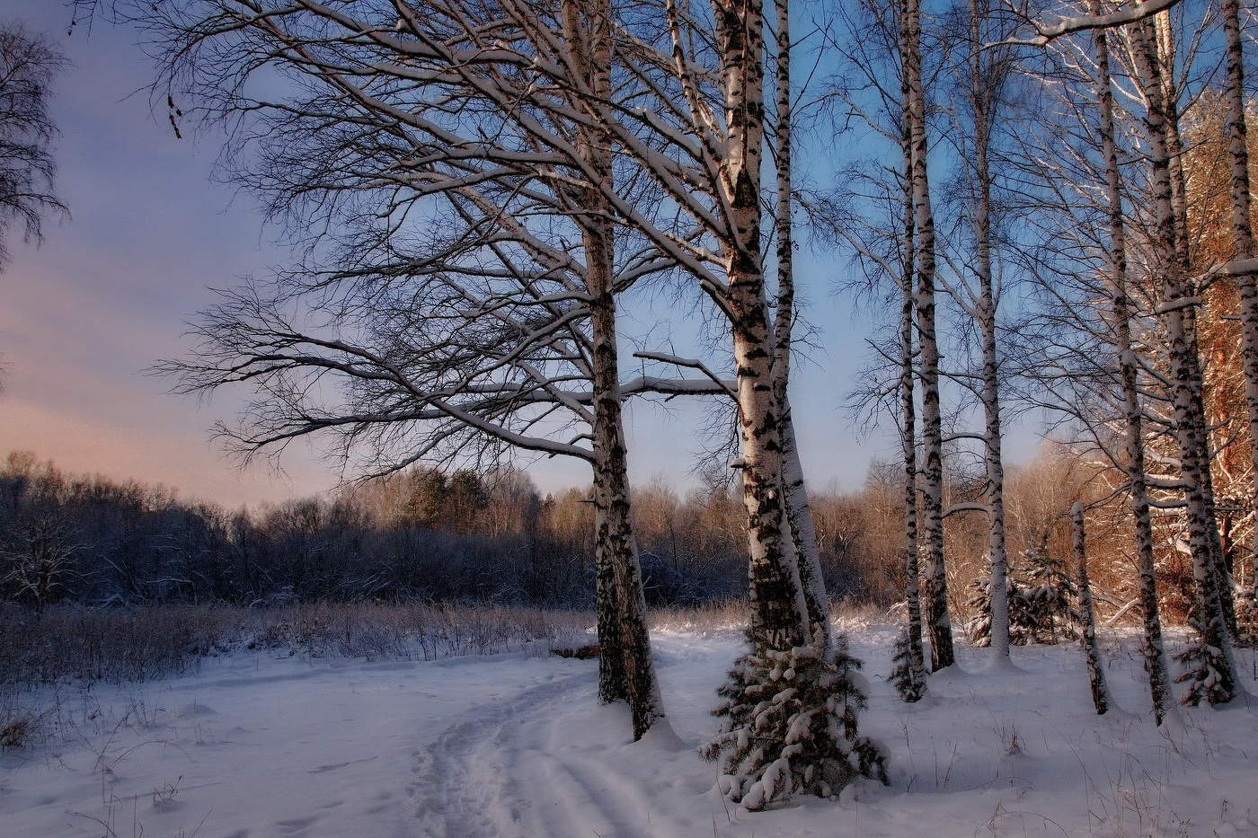 **Декабрьским днём.*