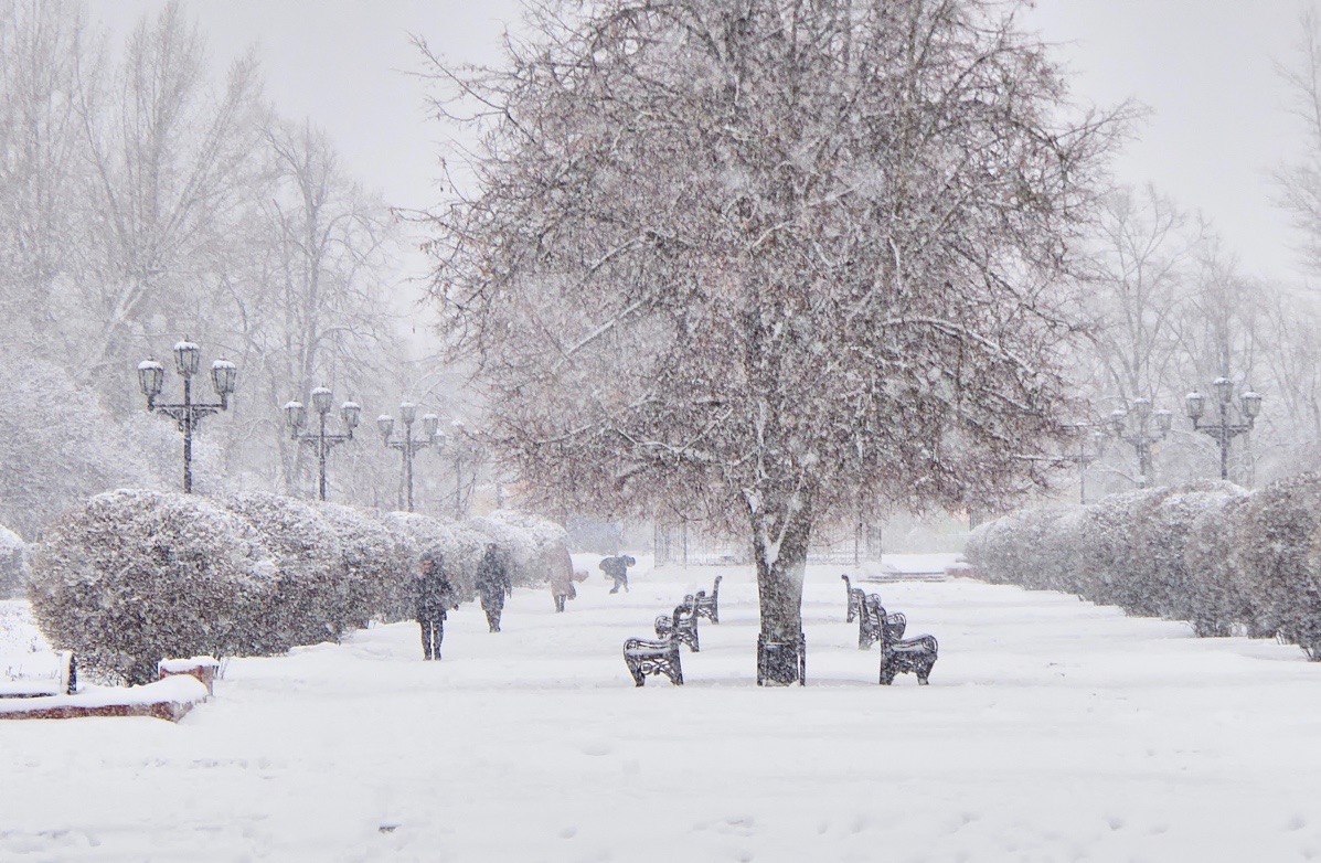 Опять метель