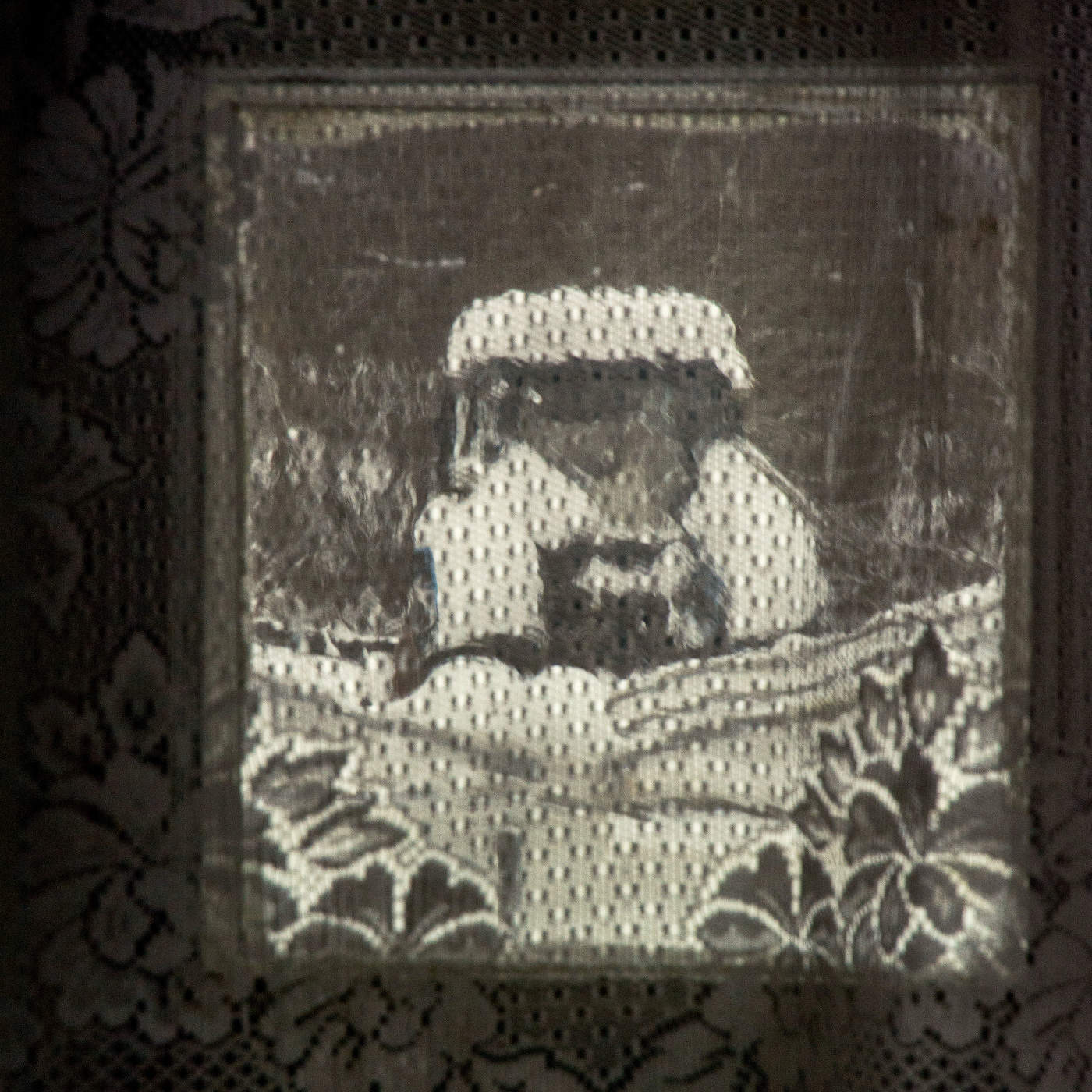 Жизнь вокруг