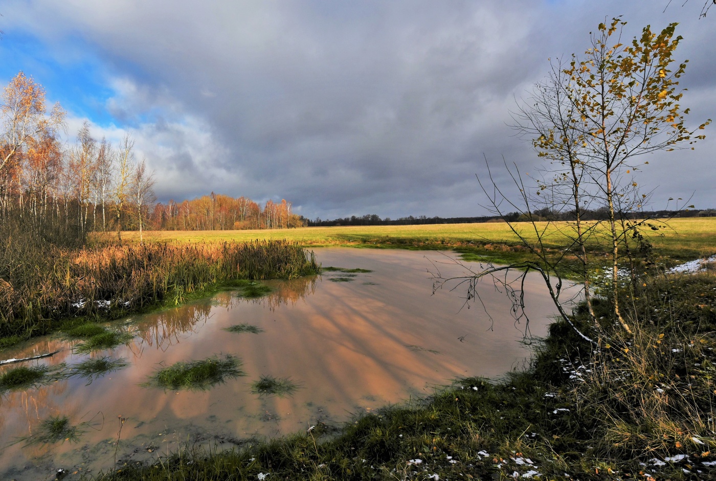 "Уж небо осенью дышало, уж реже солнышко блистало..."