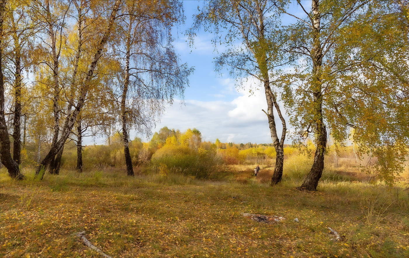 ДОРОГОЮ ОСЕННЕЙ КРАСОТЫ