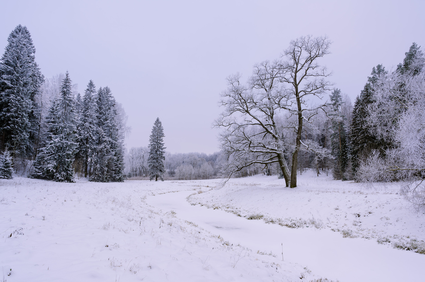 Ноябрьские прогулки в Павловском парке.