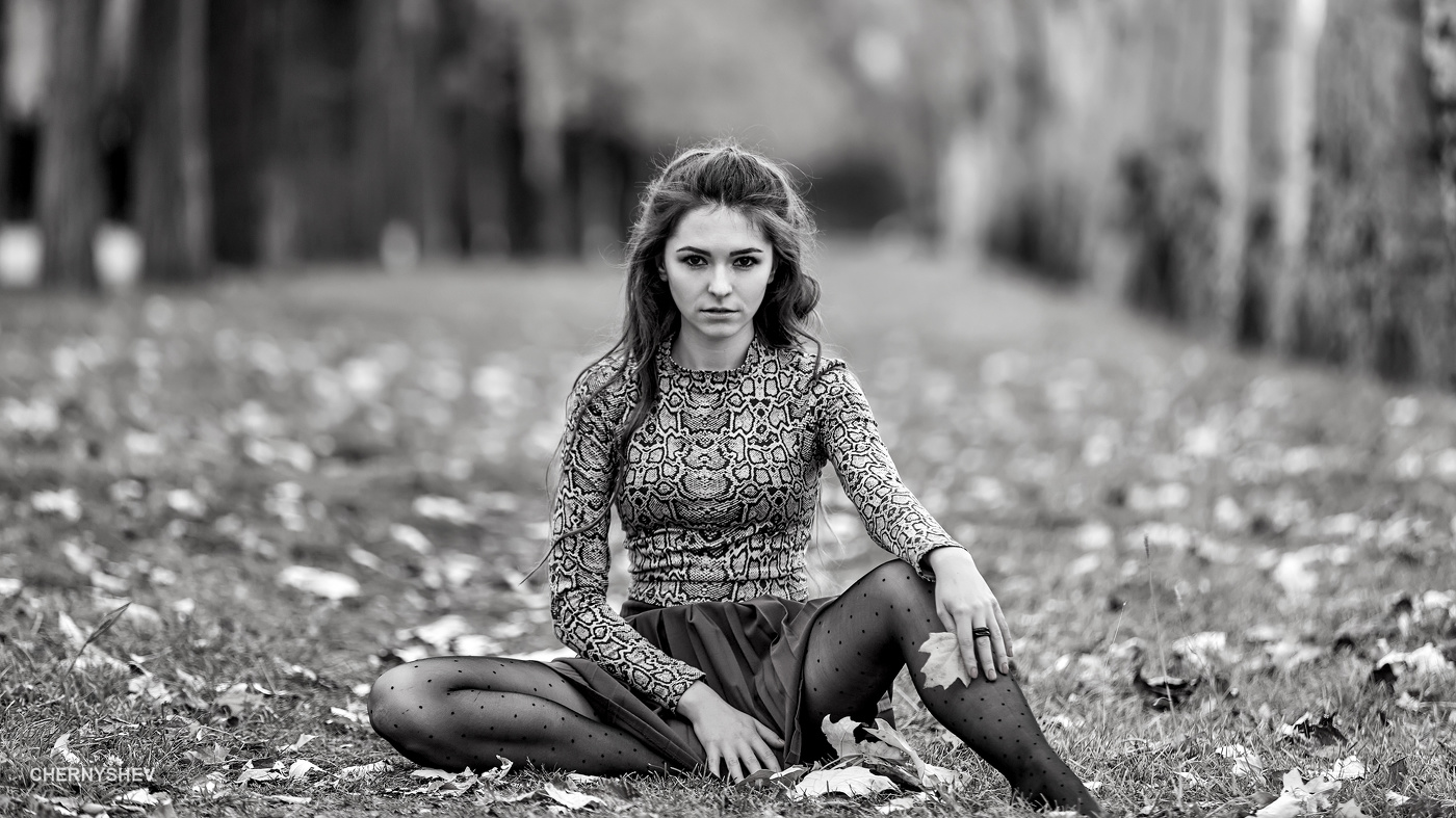 из альбома "логика листьев".