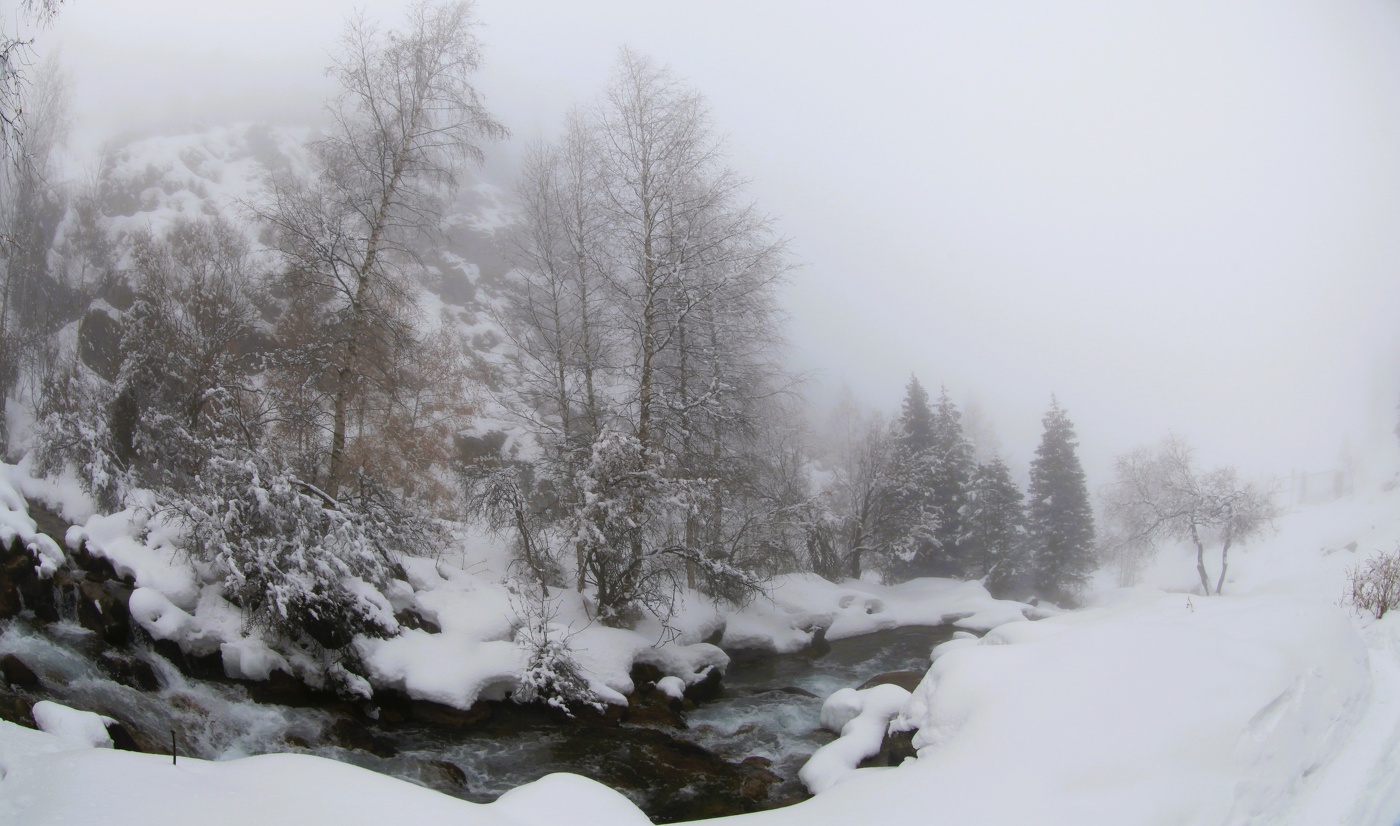 Вдоль тропы