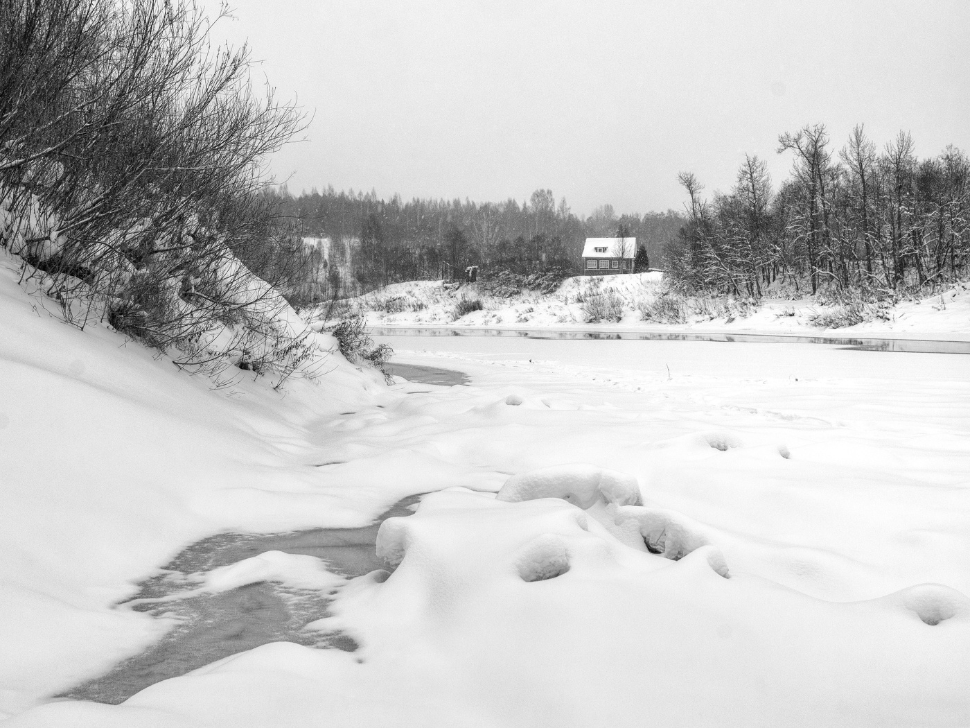 Жизнь вокруг