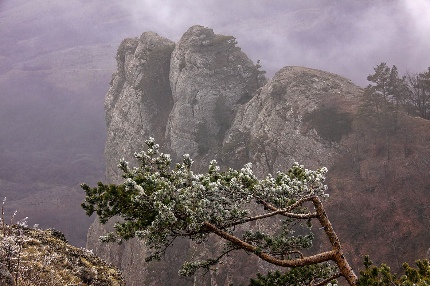 На склонах Северного Демерджи