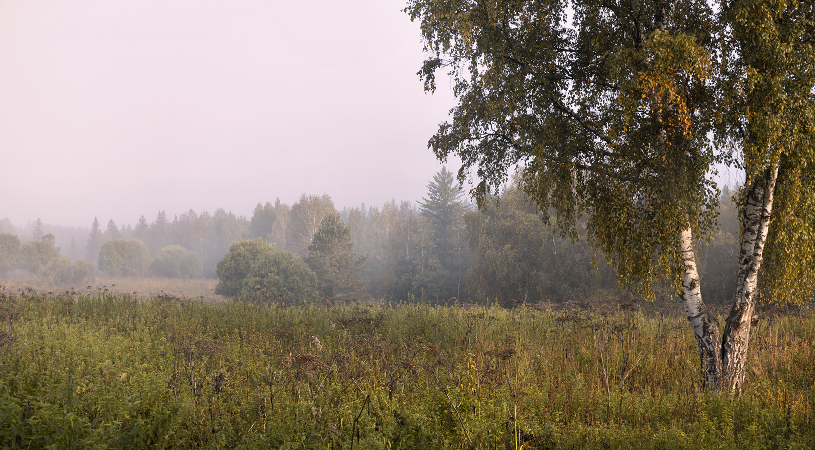 В августе...