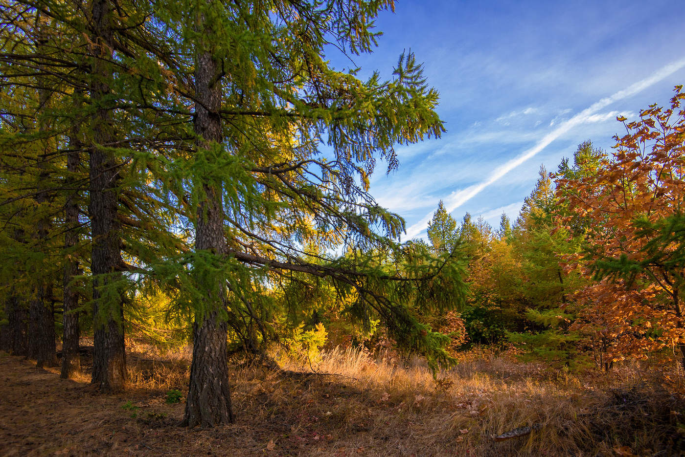 Про осень...