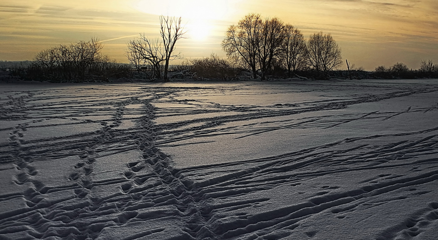 Вечернее кто куда