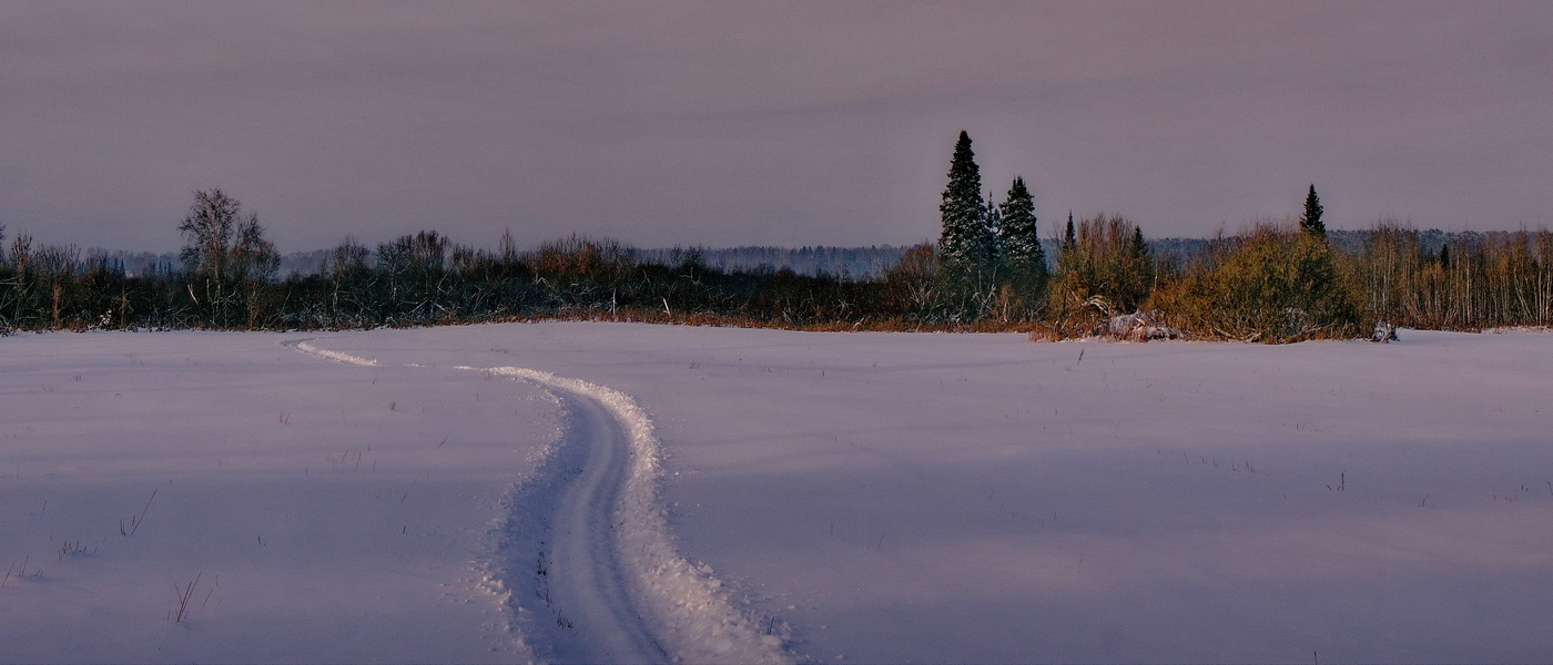 Декабрьский вечер.