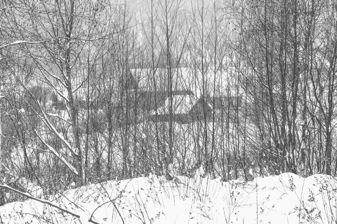 Жизнь вокруг