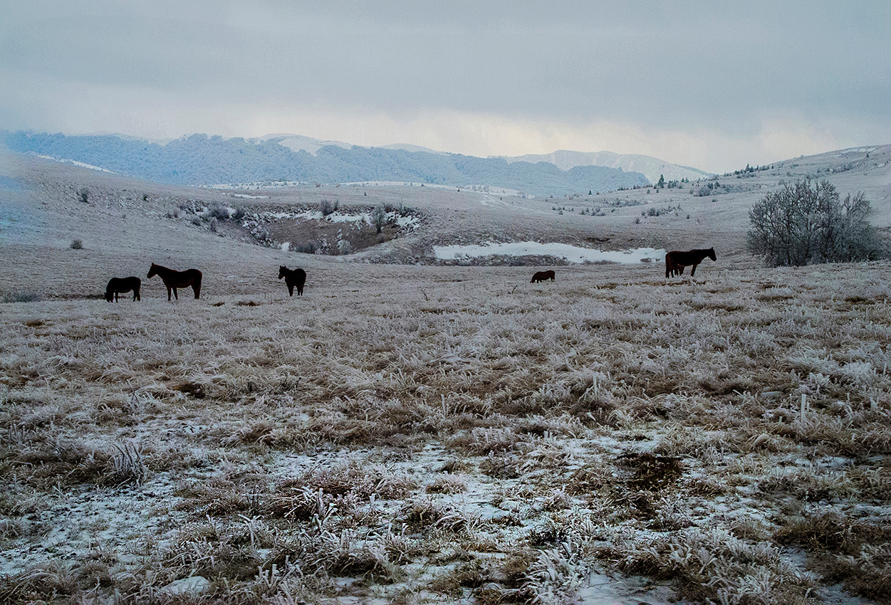 Туман и мороз