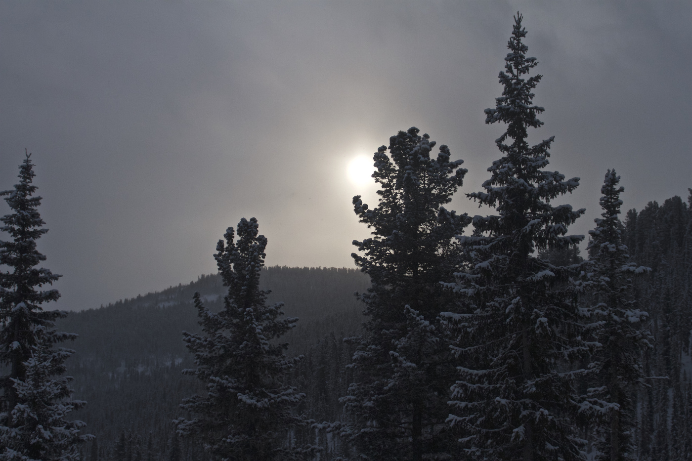 Краток зимний день