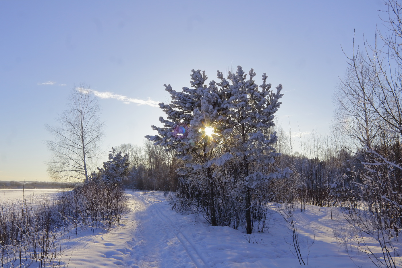 Морозный день