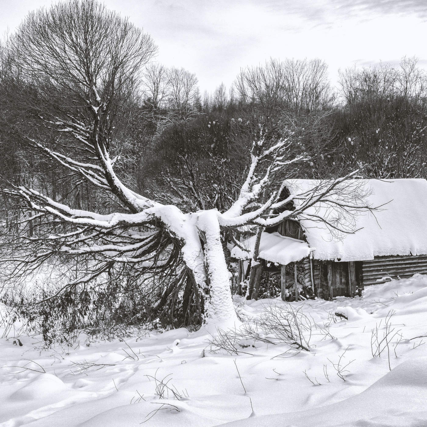 Жизнь вокруг