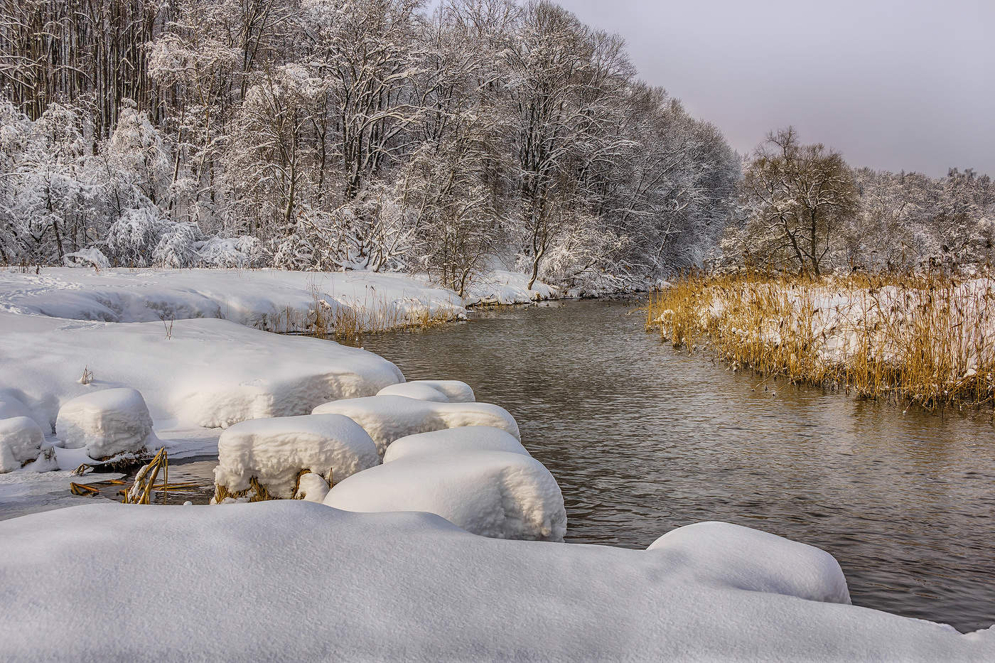 Белые одежды зимы